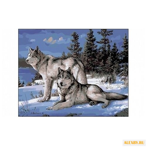 Рыжий кот Картина по номерам