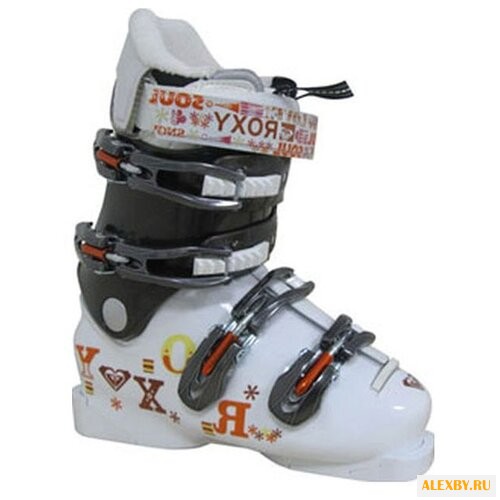 Ботинки для горных лыж