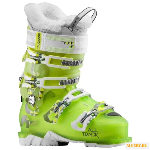 Ботинки для горных лыж