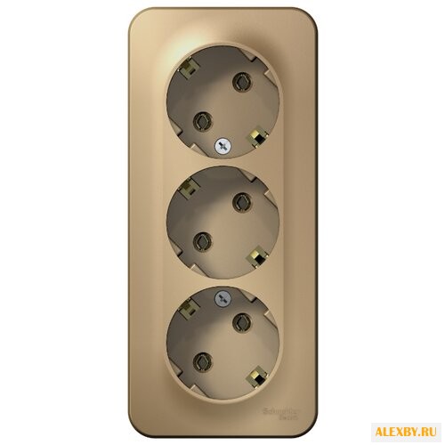 Розетка Schneider Electric