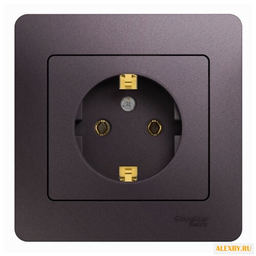 Розетка Schneider Electric