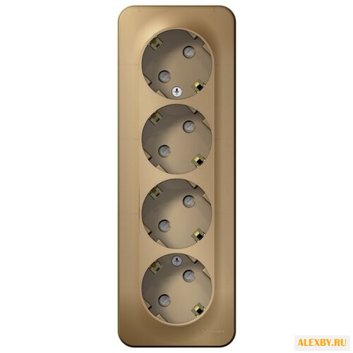 Розетка Schneider Electric