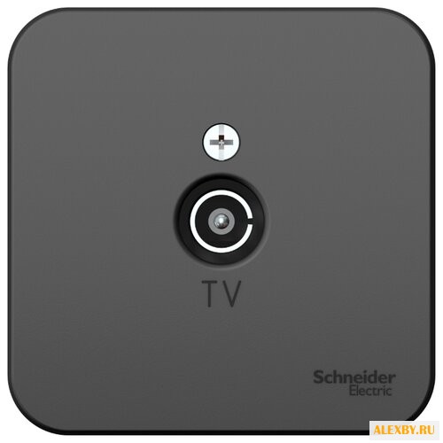 Антенное гнездо Schneider