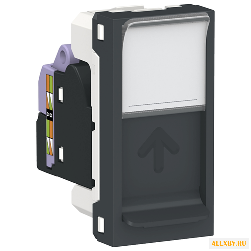 Розетка для интернета