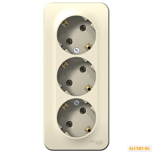 Розетка Schneider Electric