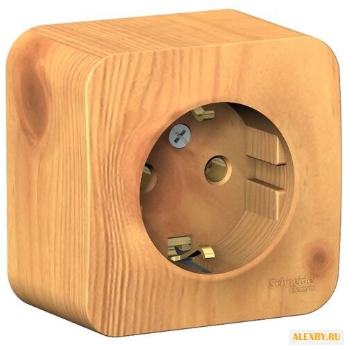 Розетка Schneider Electric