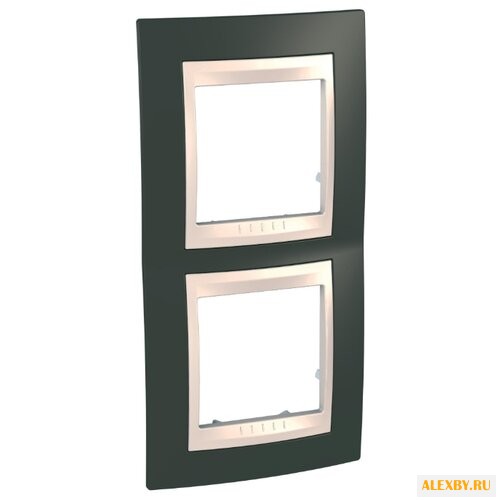 Рамка 2п Schneider Electric