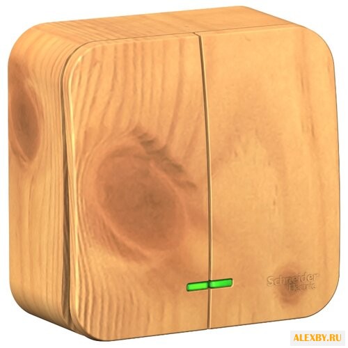 Выключатель 2х1-полюсный