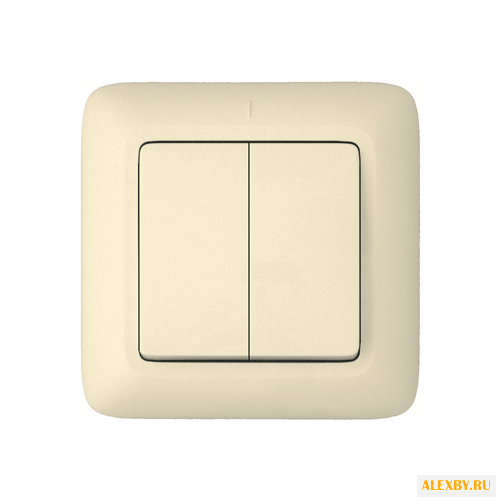 Выключатель 2х1-полюсный