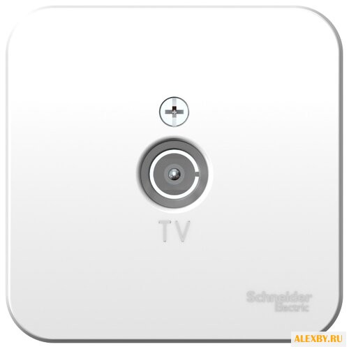 Антенное гнездо Schneider