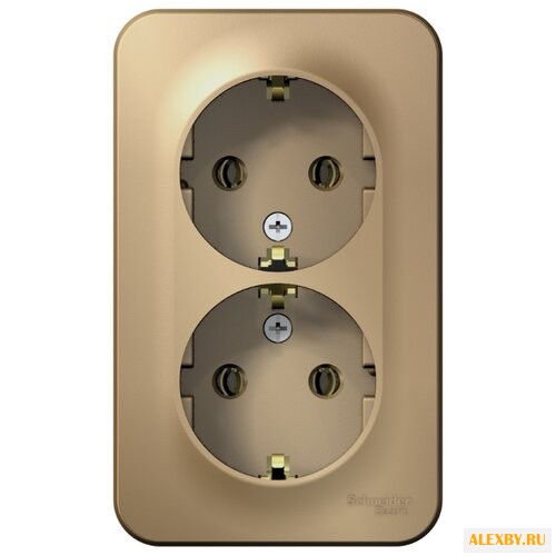 Розетка Schneider Electric