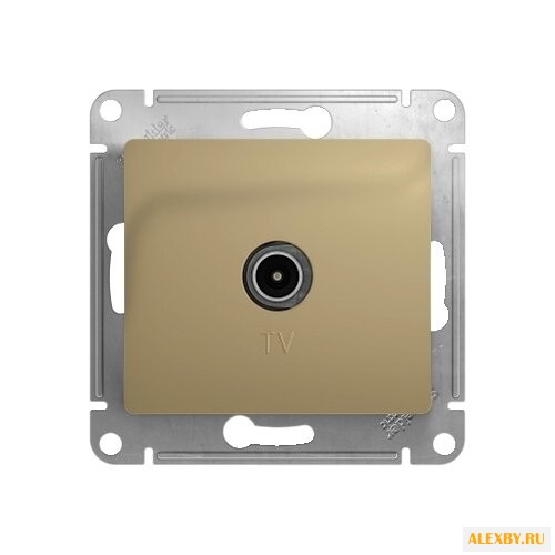 Антенное гнездо Schneider