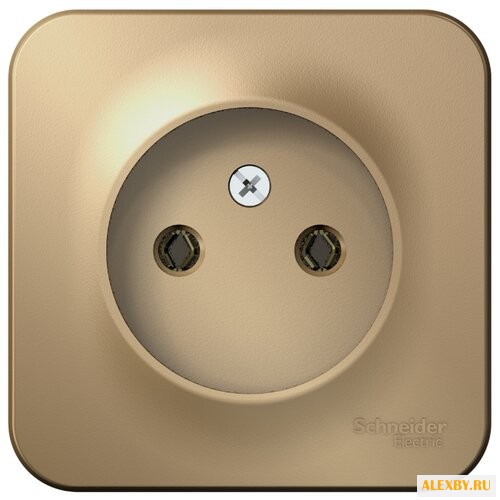 Розетка Schneider Electric