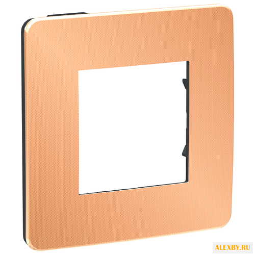 Рамка 2п Schneider Electric