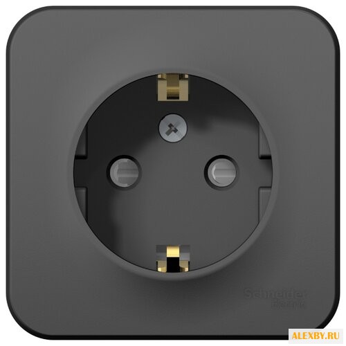 Розетка Schneider Electric