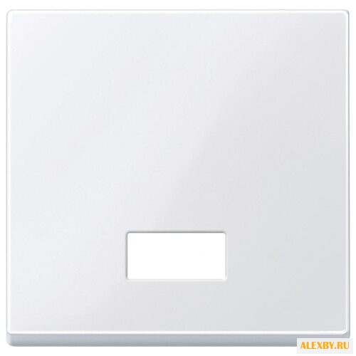 Накладка Schneider Electric