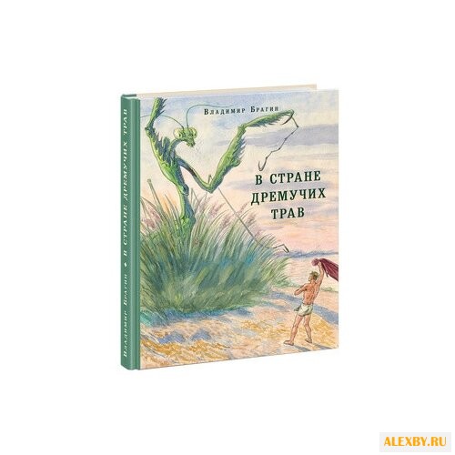 Брагин В. В стране дремучих трав