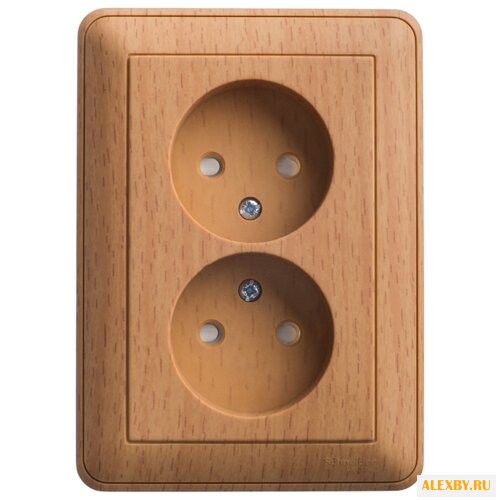 Розетка Schneider Electric