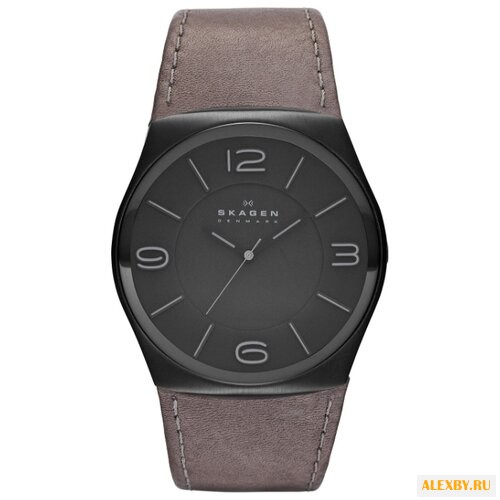 Наручные часы SKAGEN SKW6041
