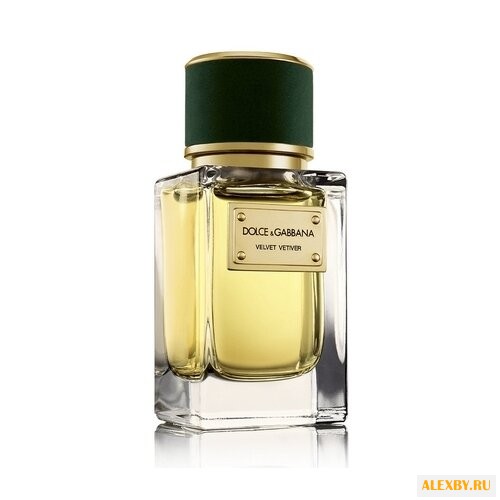 DOLCE & GABBANA Velvet Vetiver