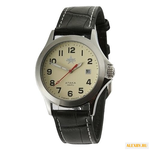 Наручные часы СПЕЦНАЗ С2100313-05