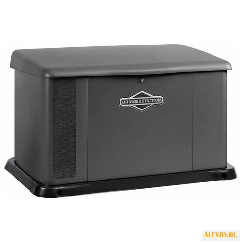 Газовая электростанция BRIGGS &