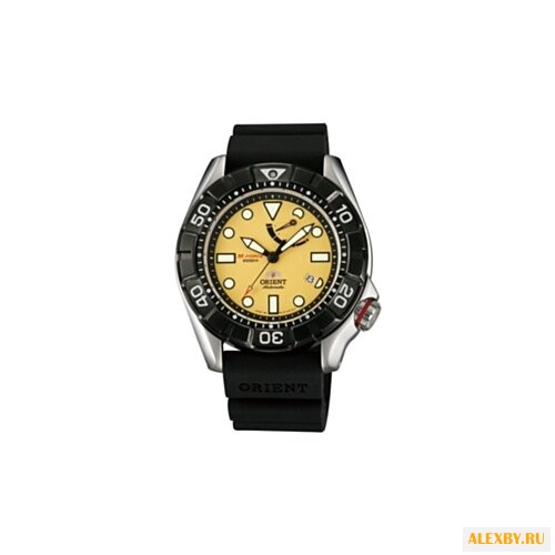 Наручные часы ORIENT EL03005Y