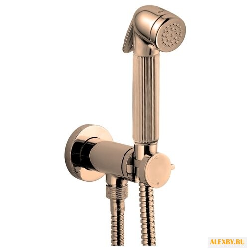 Гигиенический душ Bossini