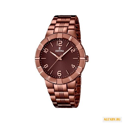 Наручные часы FESTINA F16715 2