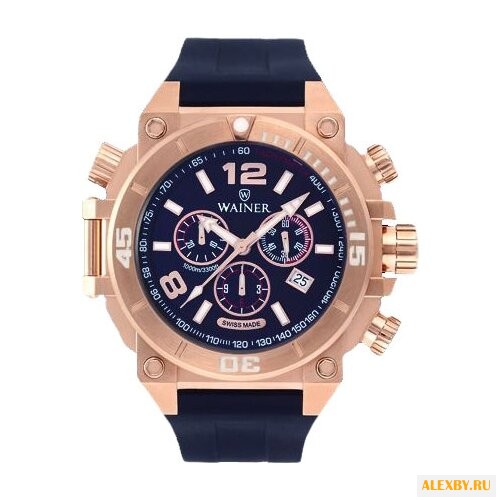 Наручные часы WAINER WA.10920-F
