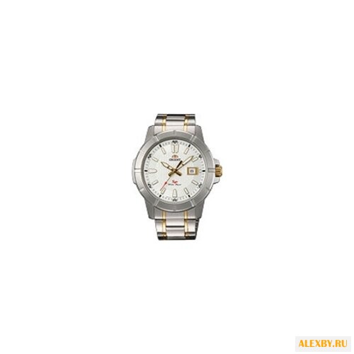 Наручные часы ORIENT UNE9004W
