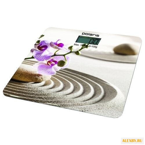 Весы Polaris PWS 1843DG sand