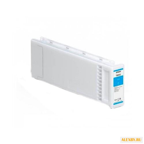 Картридж Epson C13T800200