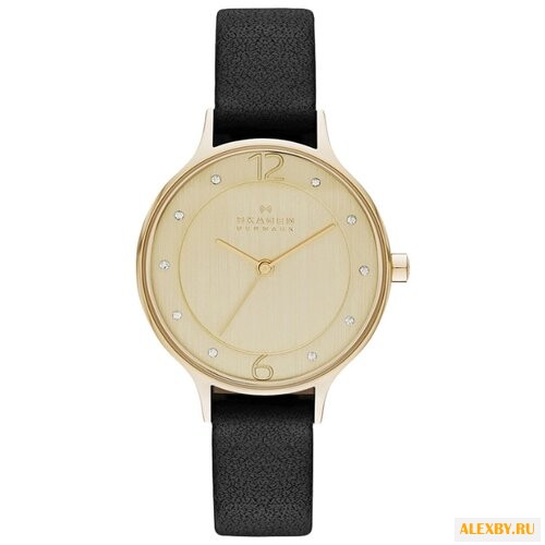 Наручные часы SKAGEN SKW2266