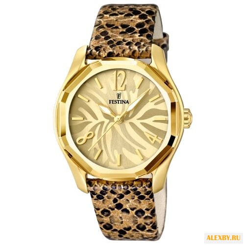 Наручные часы FESTINA F16738 1