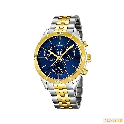 Наручные часы FESTINA F16763 2