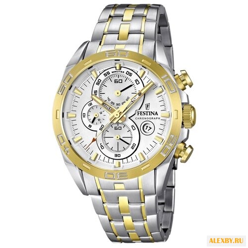 Наручные часы FESTINA F16655 1