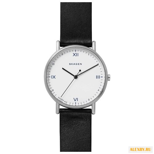 Наручные часы SKAGEN SKW6412