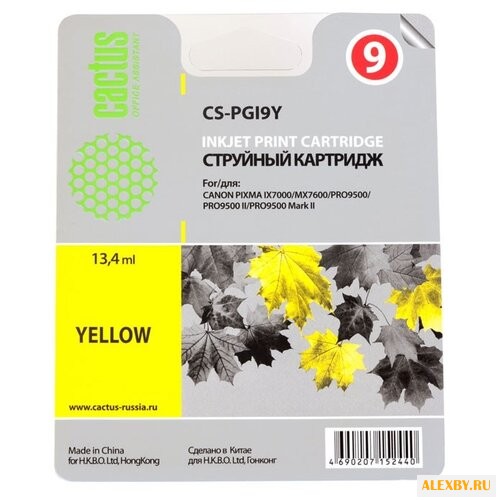 Картридж cactus CS-PGI9Y