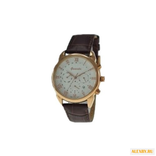Наручные часы Guardo S0980A.8