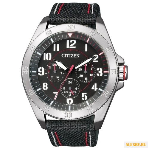 Наручные часы CITIZEN BU2030-17E