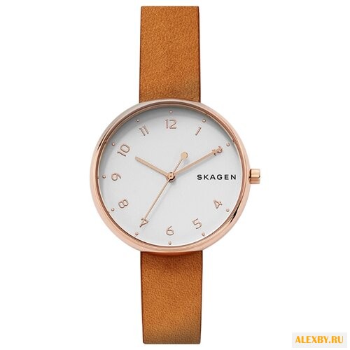 Наручные часы SKAGEN SKW2624