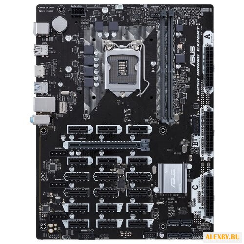 Материнская плата ASUS B250
