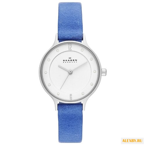 Наручные часы SKAGEN SKW2173