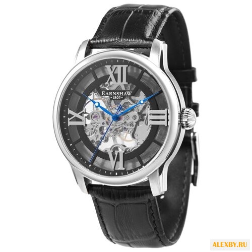 Наручные часы EARNSHAW ES-8062-01