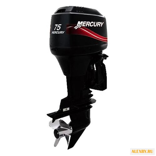 Лодочный мотор Mercury ME 75