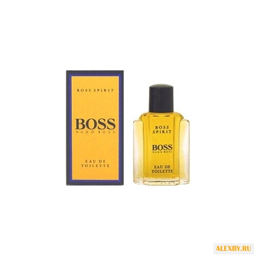 HUGO BOSS Boss Spirit