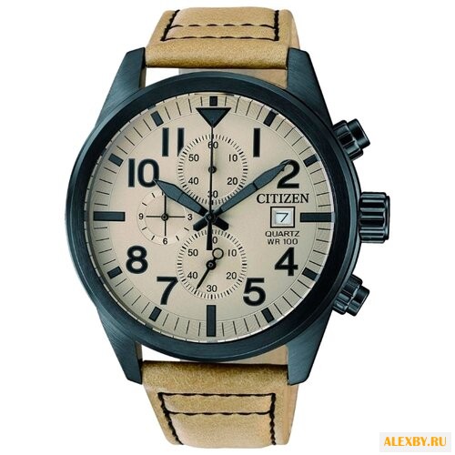 Наручные часы CITIZEN AN3625-07X