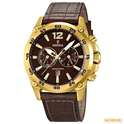 Наручные часы FESTINA F16880 2