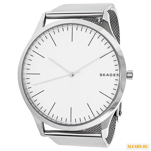 Наручные часы SKAGEN SKW1092